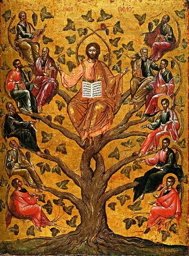 Christ the true vine