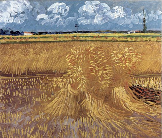 Van Gogh Wheat